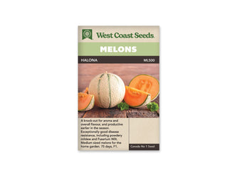 Sachet beige de semences Halona avec un bandeau vert pâle et le nom sur fond brun. Un melon entier à peau brodée et bandes vertes est entouré de morceaux à chair orange. Les fruits reposent sur une table de bois brun, avec quelques petites feuilles vertes. Les quartiers montrent les graines et une mince bordure verte sous l'écorce.