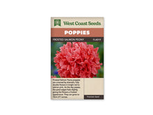 Sachet Frosted Salmon Peony de West Coast Seeds sur fond blanc. La photo montre une fleur en pompon aux pétales serrés, rose saumon et corail, avec de fines bordures plus pâles. Le fond vert reste flou autour de la corolle. Le bandeau orange indique Poppies et la bande brune porte le nom Frosted Salmon Peony, code FL4019.
