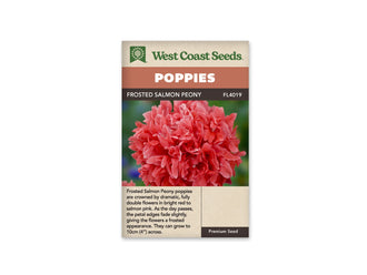 Sachet Frosted Salmon Peony de West Coast Seeds sur fond blanc. La photo montre une fleur en pompon aux pétales serrés, rose saumon et corail, avec de fines bordures plus pâles. Le fond vert reste flou autour de la corolle. Le bandeau orange indique Poppies et la bande brune porte le nom Frosted Salmon Peony, code FL4019.
