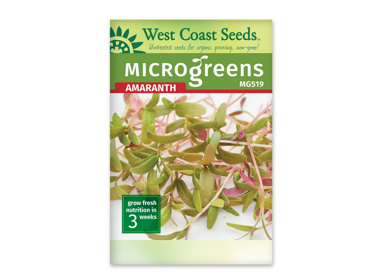 Sachet de semences pour micropousses d'amarante West Coast Seeds, vu de face. Le haut vert porte la marque, le mot Microgreens et la référence MG519. Sous le bandeau rouge Amaranth, une photographie montre de petites feuilles vertes allongées sur de fines tiges roses. Un encadré vert dans le bas de l'image indique une culture de trois semaines.