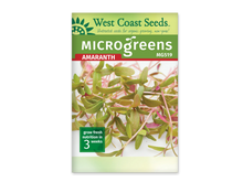 Sachet de semences pour micropousses d'amarante West Coast Seeds, vu de face. Le haut vert porte la marque, le mot Microgreens et la référence MG519. Sous le bandeau rouge Amaranth, une photographie montre de petites feuilles vertes allongées sur de fines tiges roses. Un encadré vert dans le bas de l'image indique une culture de trois semaines.