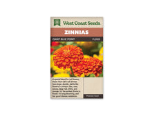 Sachet West Coast Seeds Giant Blue Point montrant deux fleurs doubles orange. Celle de devant présente plusieurs rangs de pétales arrondis autour d’un centre plus dressé. Une tige verte apparaît sous la fleur. Des zones jaunes et vertes floues composent le fond, avec le texte descriptif sur la partie beige du bas.
