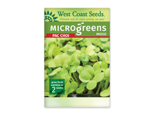 Sachet blanc West Coast Seeds pour micropousses de pak-choï, avec le nom anglais Pac Choi en rouge et un bandeau vert. La photo présente un tapis dense de petites feuilles vertes arrondies sur des tiges pâles dressées. Un bord de plateau noir est visible sous les pousses. Le code MG532 et le délai de deux semaines figurent sur l'emballage.