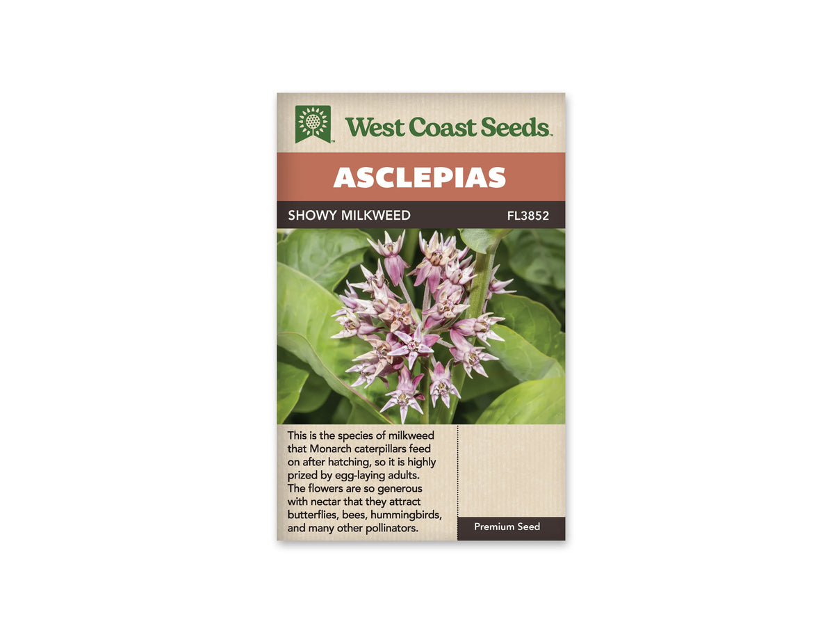 Sachet Showy Milkweed de West Coast Seeds sur fond blanc. La photo montre une boule de fleurs roses et mauves aux pointes fines, au-dessus de larges feuilles vert gris. Le bandeau du haut porte le mot Asclepias. Le nom Showy Milkweed et le code FL3852 sont visibles sur le bas beige de l’emballage.