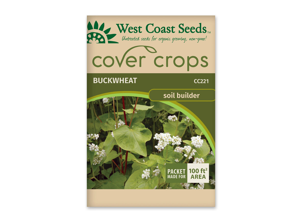 Sachet beige et vert West Coast Seeds de la gamme Cover Crops, portant le nom anglais Buckwheat et le code CC221. La photo centrale montre des feuilles vertes larges, des tiges rougeâtres et de petites grappes de fleurs blanches. Un encadré vert et blanc dans le coin inférieur droit annonce une couverture de 100 pieds carrés. Le sachet est présenté sur fond blanc.