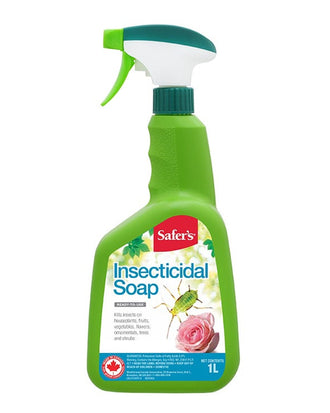 Savon insecticide prêt à l'usage Safer's — photo sur fond blanc