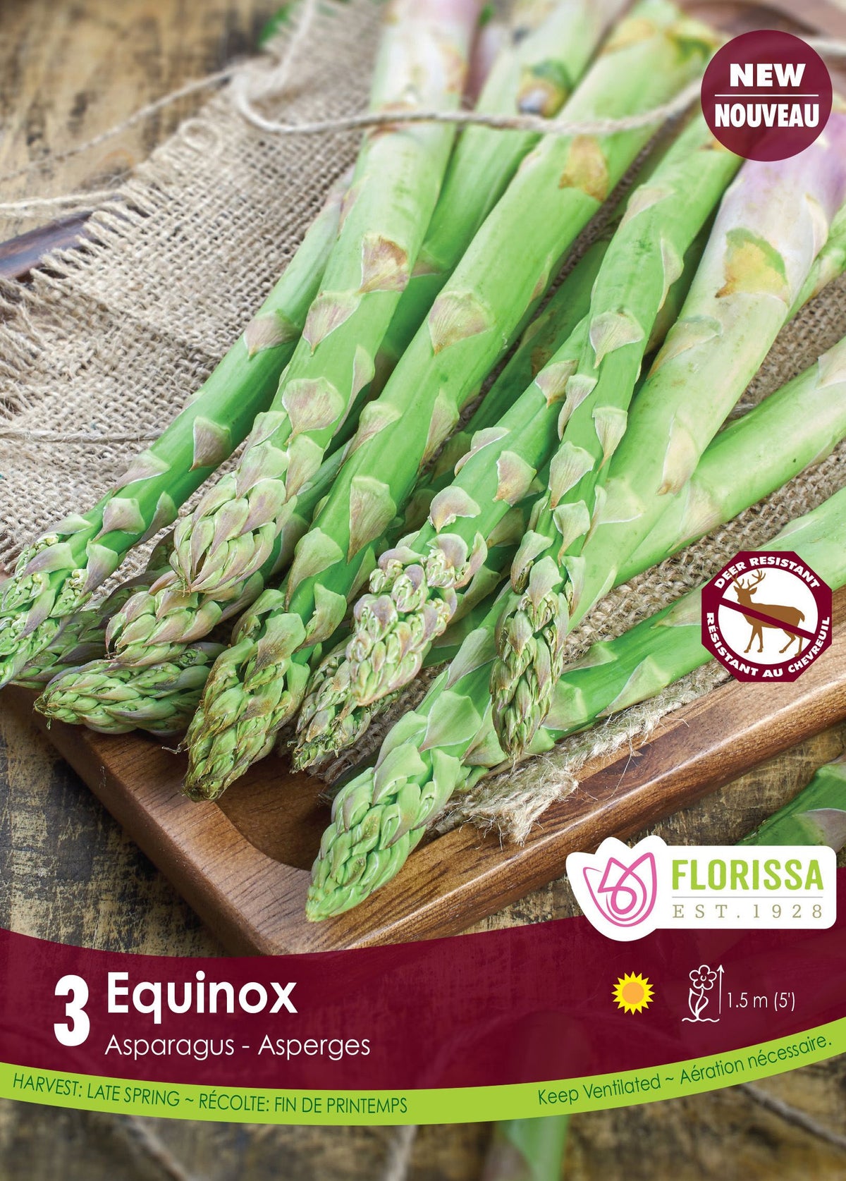 Asperge ‘Équinoxe’ (<em>Asparagus officinalis</em> ‘Equinox’)
