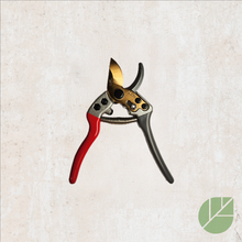 Gaian Compact Pruning Shears