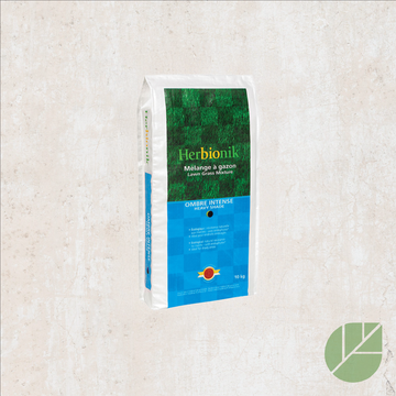 Grass Seeds – Intense Shade