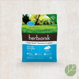 Grass Seeds – Intense Shade