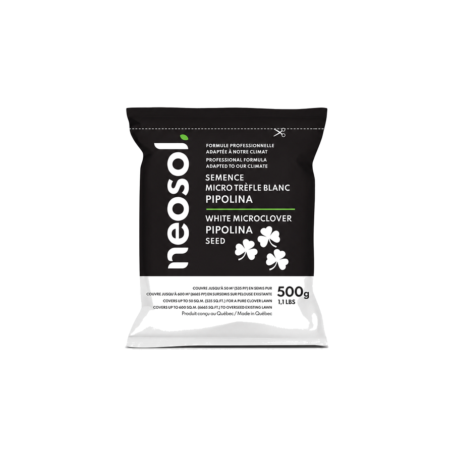 Pipolina Neosol clover seeds