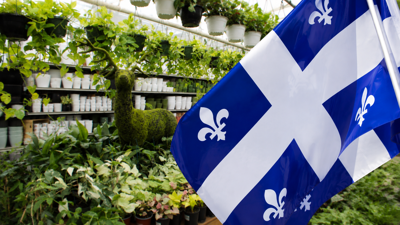 Ouvert pour la Saint-Jean — venez fleurir votre journée avec nous.