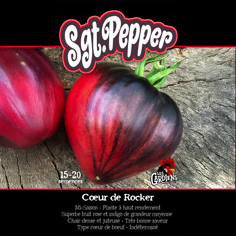 Sgt. Pepper’s tomato (<em>Solanum lycopersicum</em> ‘Sgt. Pepper’s’)