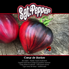 Sgt. Pepper’s tomato (<em>Solanum lycopersicum</em> ‘Sgt. Pepper’s’)