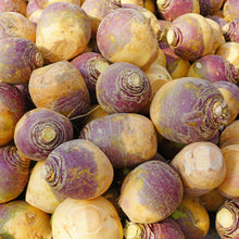 Image officielle de Rutabaga « Helenor » associée au petit sachet de semences Cutleaf Seed. Cette.