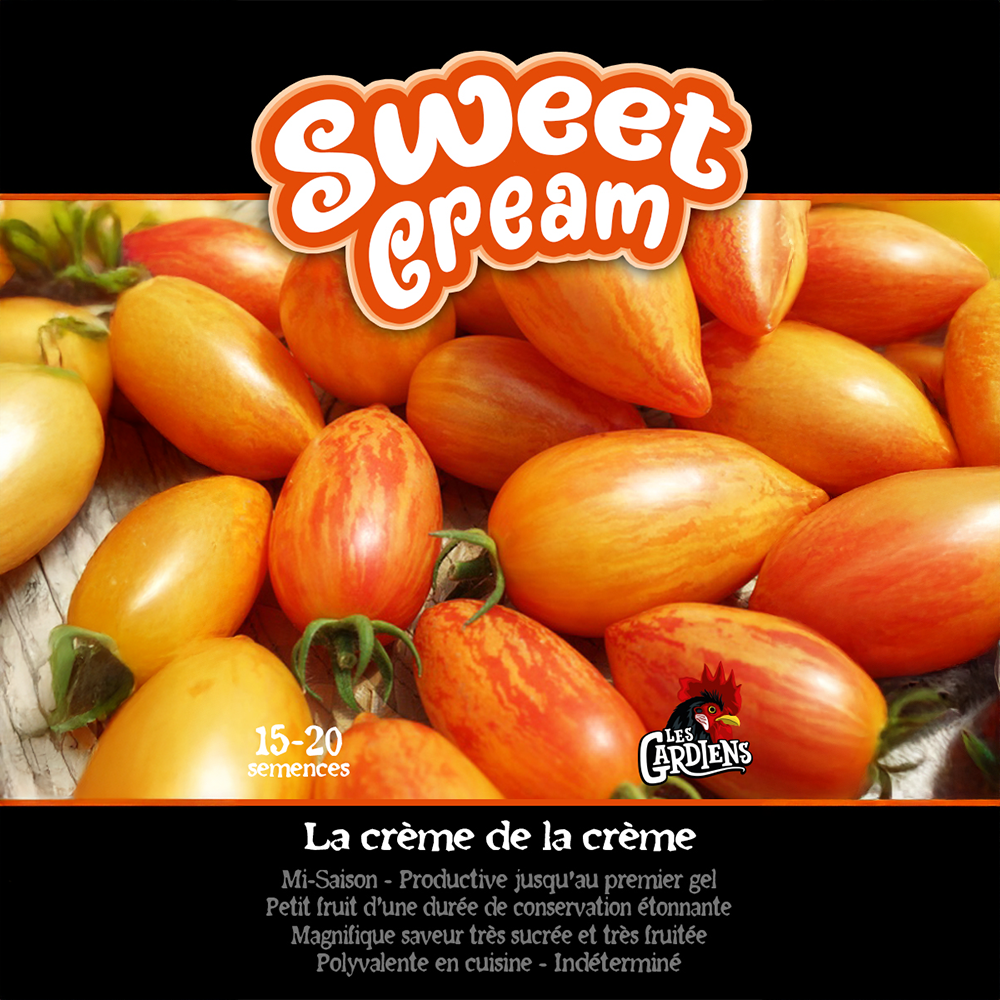 Sweet Cream tomato (<em>Solanum lycopersicum</em> ‘Sweet Cream’)