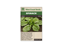 Sachet West Coast Seeds Space montrant une rosette d’épinard vue de dessus dans la terre. Les feuilles vertes arrondies entourent un cœur plus serré, avec des nervures visibles et une surface légèrement ondulée. Le nom Space apparaît dans le bandeau brun sous le titre Spinach, et le code SP704 est placé à droite.