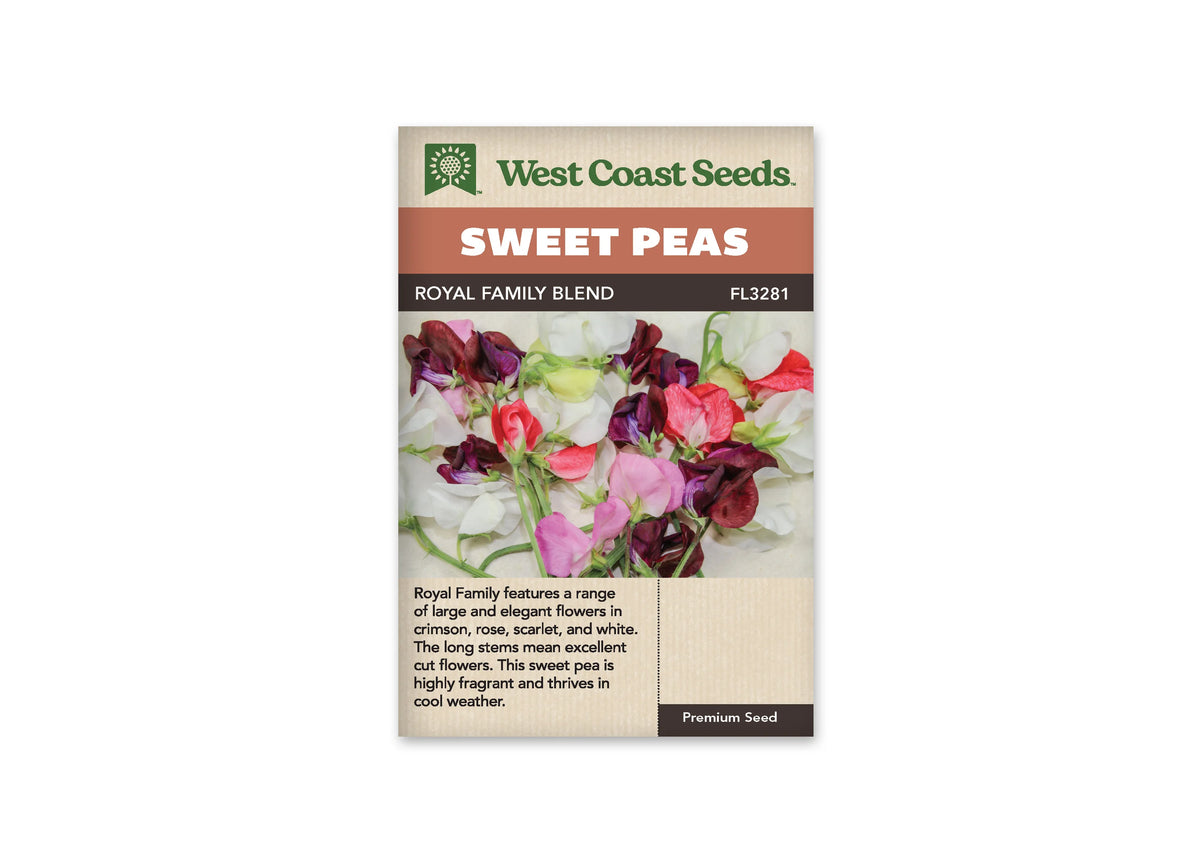 Sachet West Coast Seeds Royal Family Blend montrant un bouquet de pois de senteur sur fond clair. Les fleurs visibles sont blanches, roses, rouges et bordeaux, avec de larges pétales qui se chevauchent. Des tiges vertes apparaissent sous le groupe floral. La photo met surtout en valeur le contraste entre les fleurs pâles et foncées.