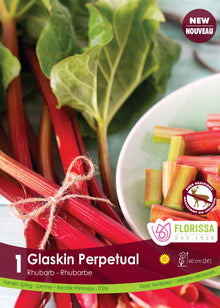 Rhubarbe 'Glaskin's Perpetual' (1 plant)