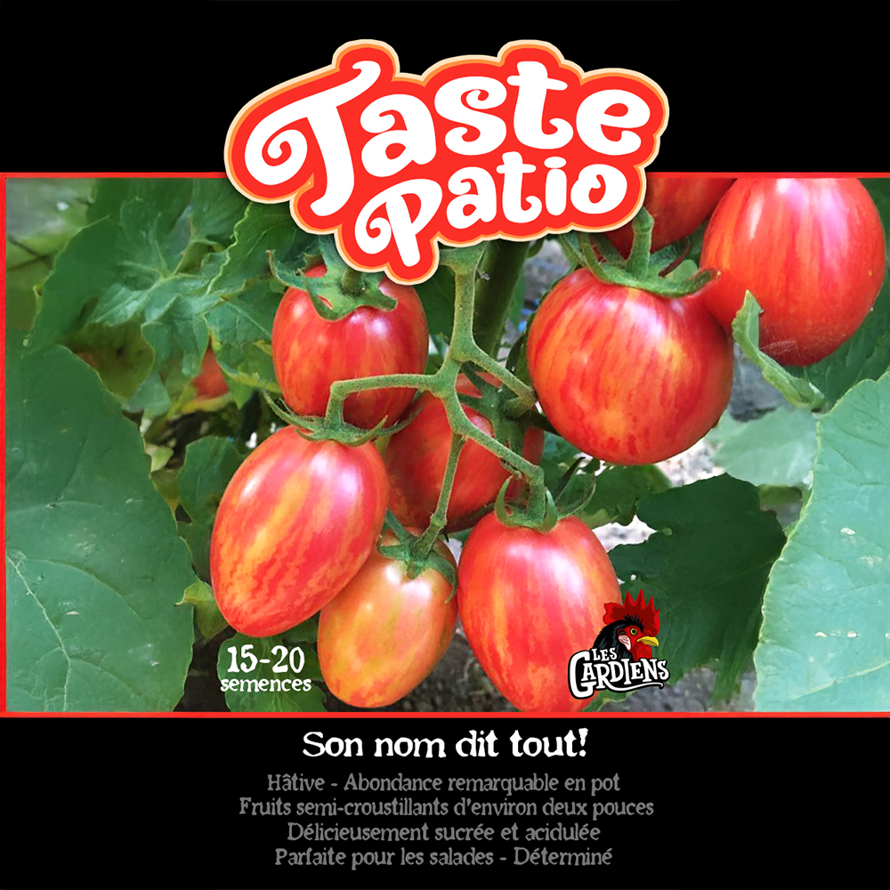 Taste Patio tomato (<em>Solanum lycopersicum</em> ‘Taste Patio’)