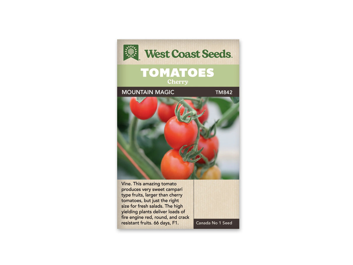 Sachet West Coast Seeds portant les mentions Tomatoes, Cherry et Mountain Magic. La photo montre un bouquet de tomates rouges rondes sur une tige, avec leurs calices verts. Un fruit moins coloré se trouve au bas de l’image. Le nom apparaît sur une bande sombre, sous les bandeaux verts et le logo de la marque.