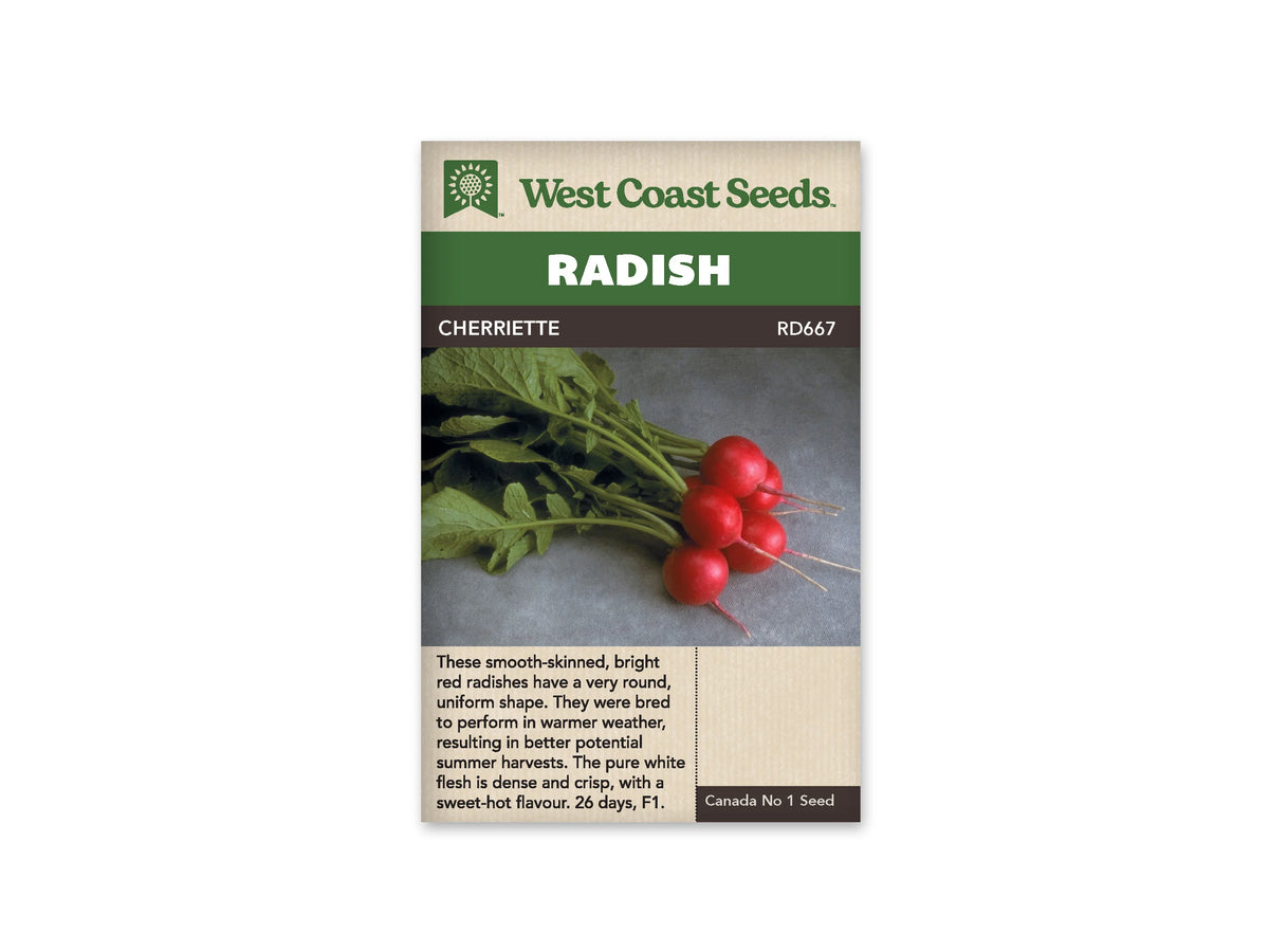 Sachet West Coast Seeds Cherriette montrant une petite botte de radis rouges sur un tissu gris. Les racines sont rondes et lisses, avec de fines pointes claires. Les pétioles et les feuilles vertes s’étendent vers la gauche. La photo est placée sous le bandeau brun portant le nom de la sélection.