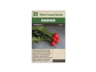 Sachet West Coast Seeds Cherriette montrant une petite botte de radis rouges sur un tissu gris. Les racines sont rondes et lisses, avec de fines pointes claires. Les pétioles et les feuilles vertes s’étendent vers la gauche. La photo est placée sous le bandeau brun portant le nom de la sélection.