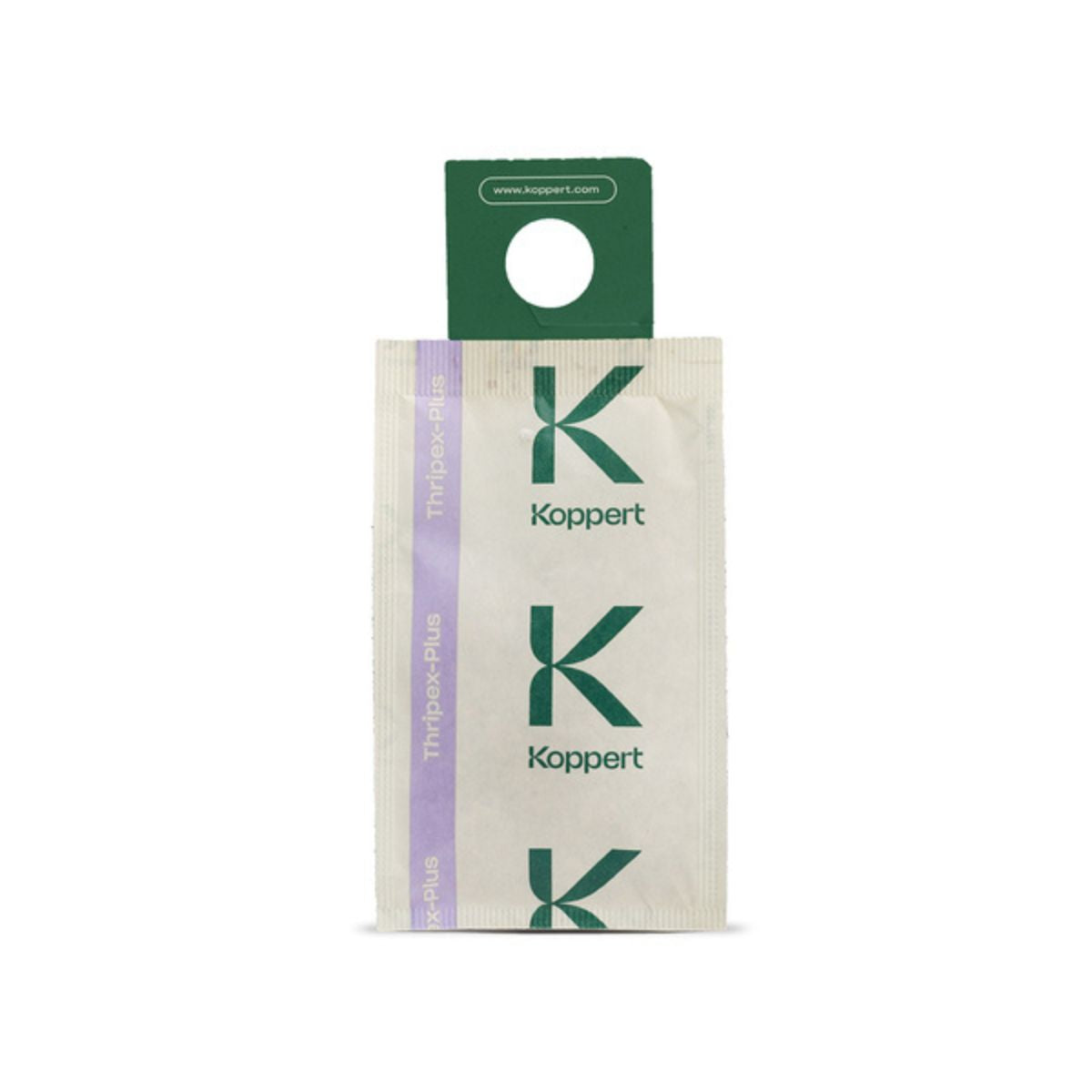 THRIPEX-PLUS Koppert — Neoseiulus cucumeris — 100 sachets de 1 000 individus
