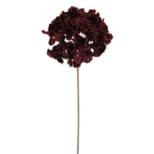 Tige d’hortensia scintillante