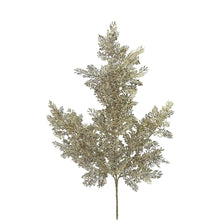 Tige de sapin baumier givrée