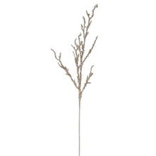 Branche de cristal – Champagne