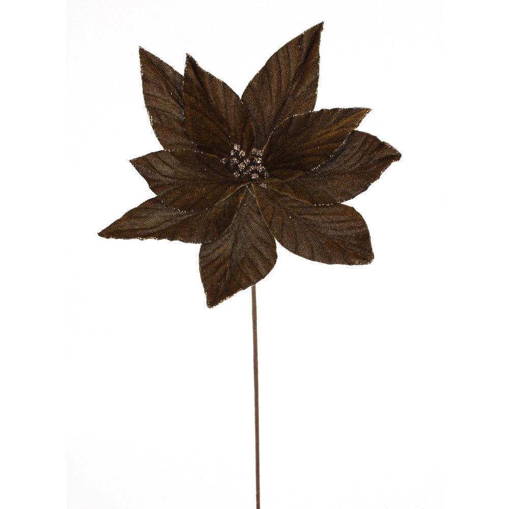 Tige de poinsettia – Brun – H. 19 po