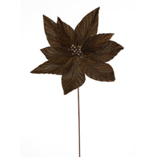 Tige de poinsettia – Brun – H. 19 po