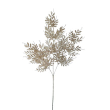 Tige de feuilles de buis scintillantes
