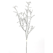 Branche métallisée – Platine