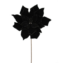 Tige de poinsettia – Noir – H. 19 po × L. 14 po