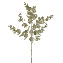 Tige d’eucalyptus scintillante – Champagne – H. 24,5 po