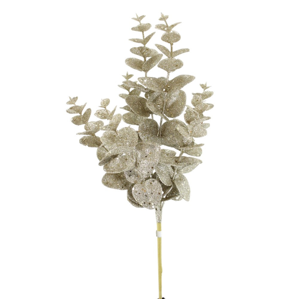 Tige d’eucalyptus scintillante – Champagne – H. 19 po