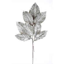 Tige de feuilles de magnolia enneigées