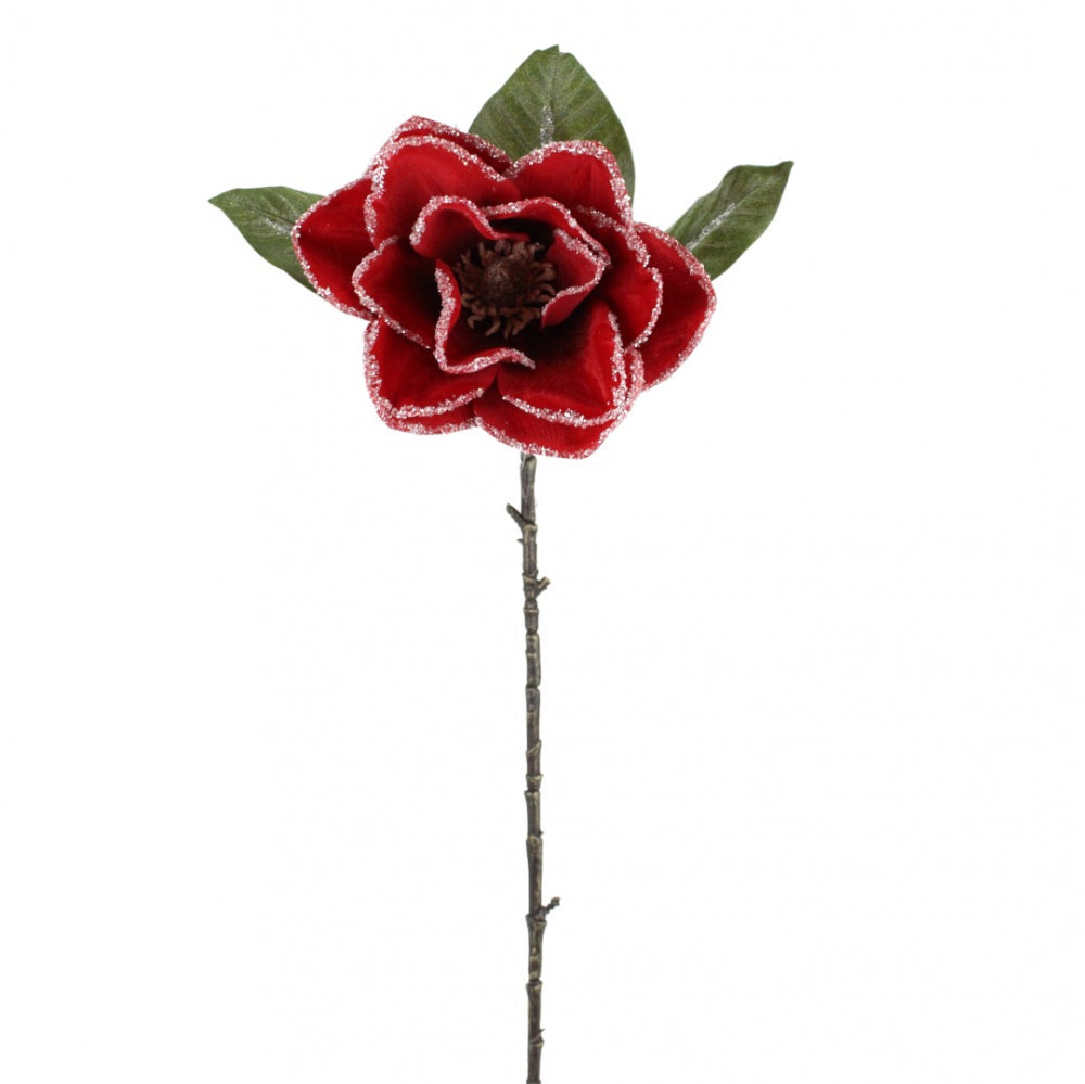 Tige de magnolia givrée