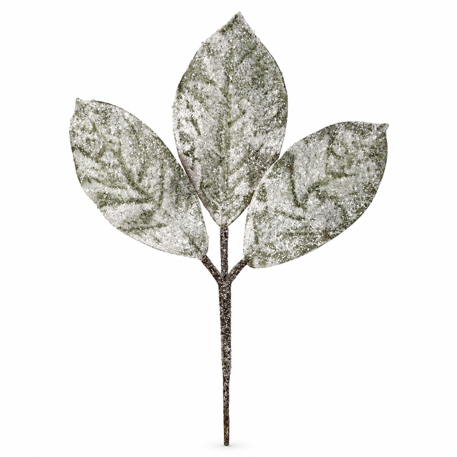 Branche de magnolia artificiel givrée – 14 po – fond blanc pur