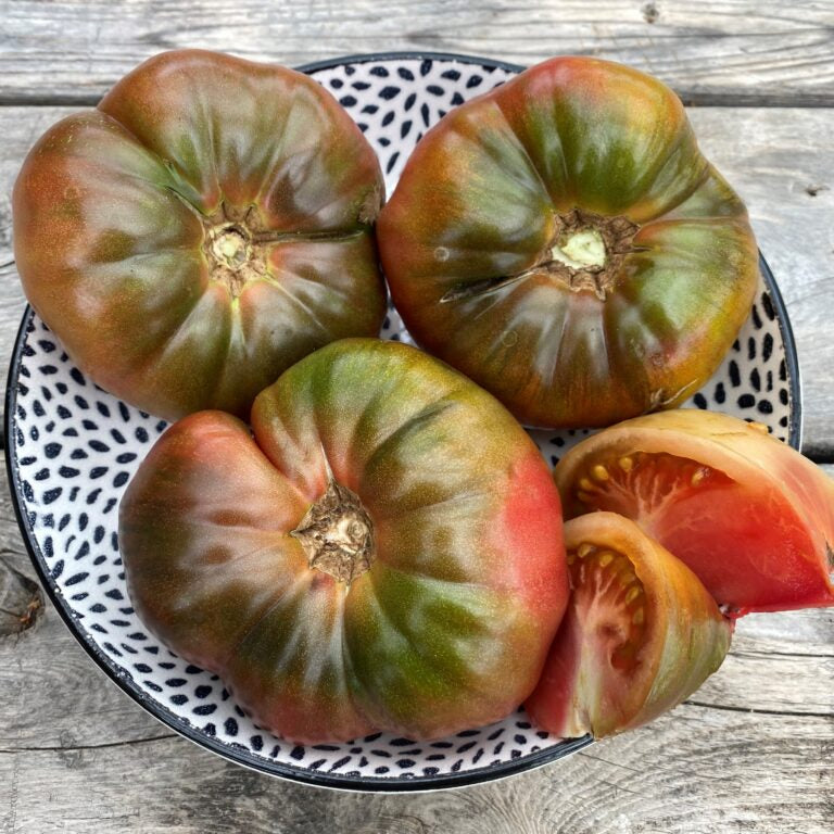 Organic 'Black Krim' Tomato