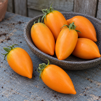 Tomates Orange Icicle allongées et pointues, à peau orange, dans une coupe en céramique sur une table de jardin.