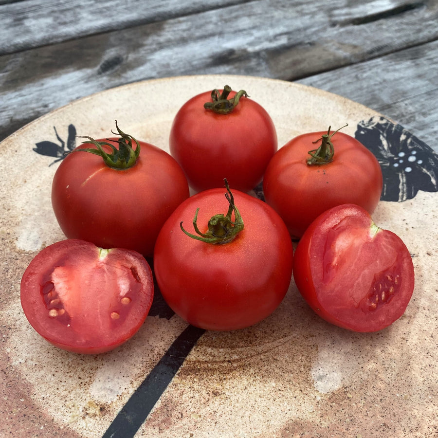 Tomate 'White Pour' bio