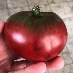 Organic 'Black Krim' Tomato