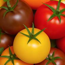 Organic 'Rainbow Cherry' Tomato