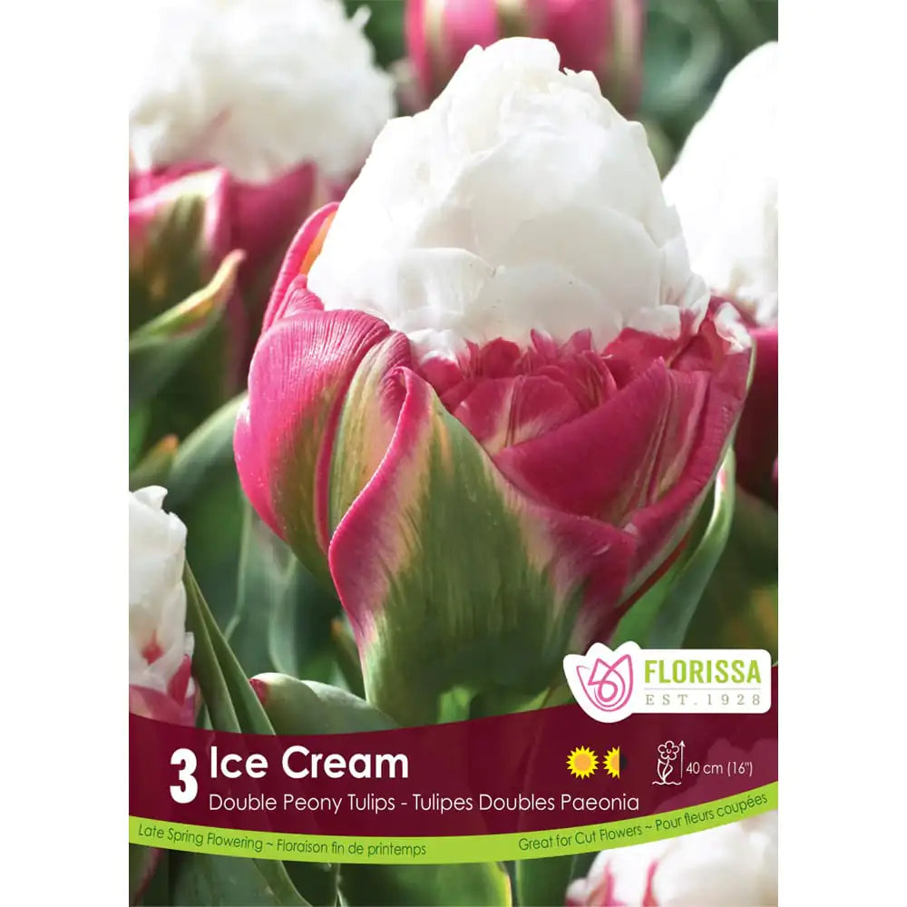 Tulipe Ice Cream