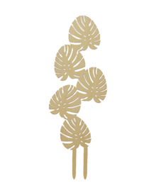 Tuteur en bois Monstera 17.5'' x 6'' — photo sur fond blanc