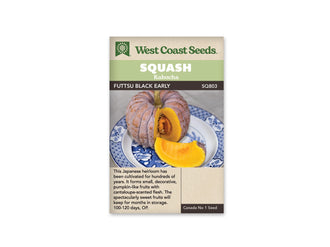 Sachet beige de semences Futtsu Black Early avec bandeau vert pâle et nom sur fond brun. Une courge côtelée gris brun repose sur une assiette blanche ornée de motifs bleus. Un quartier retiré dévoile une chair jaune orangé et la cavité à graines. Le morceau coupé se trouve devant le fruit, sous son pédoncule dressé.