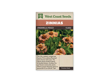 Sachet West Coast Seeds Zinderella Peach montrant plusieurs fleurs pêche pâle sur de fines tiges vertes. Les pétales larges entourent des centres bruns surélevés où se voient de petites fleurs jaunes. Le feuillage vert et d’autres fleurs floues forment le fond. Le nom figure dans le bandeau brun au-dessus de la photo.